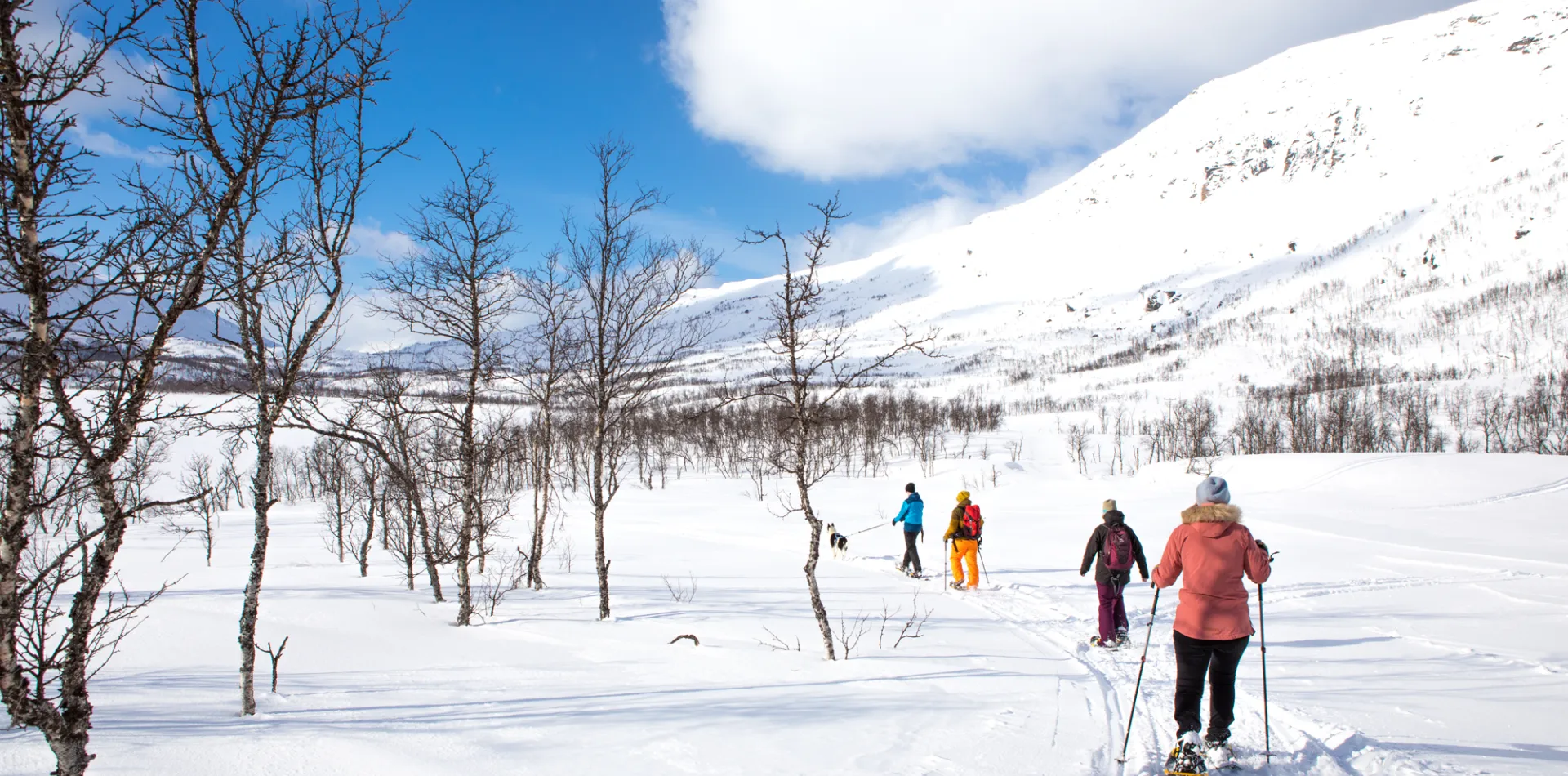 Winter holiday