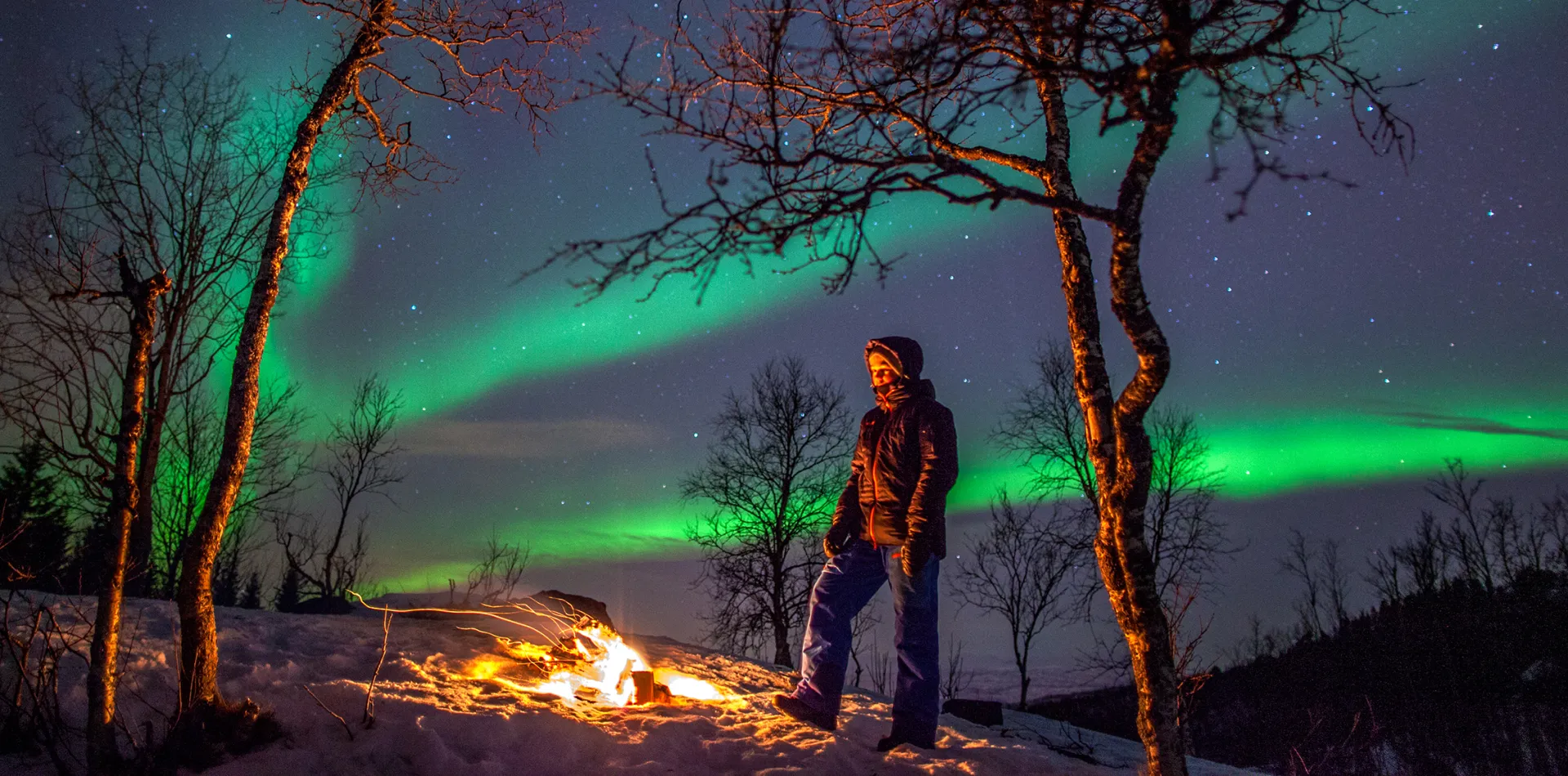 Northern ligths in the Narvikregion