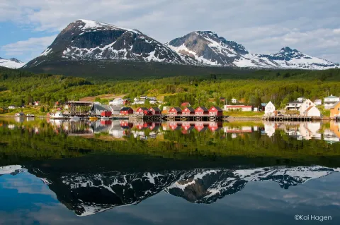 Foldvik Bryggeferie