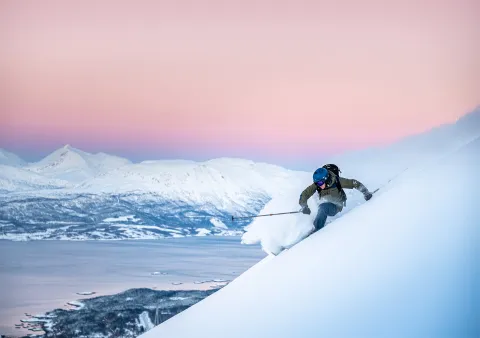 Narvikfjellet