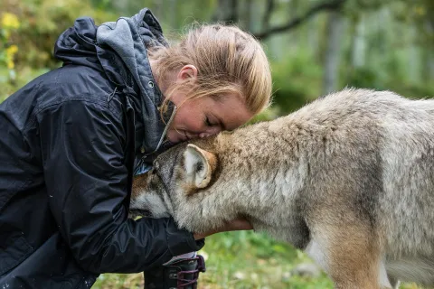 Polar Park