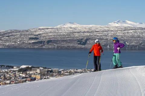 Narvikfjellet