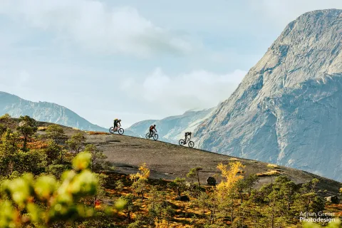 Reinneset Downhill Cycling