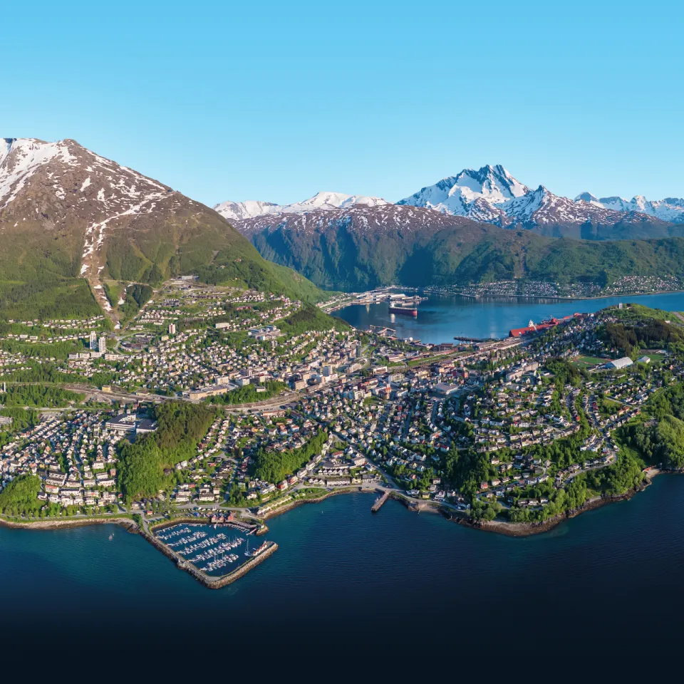 Oversiktsbilde av en Narvik ved fjord, med havn og boligområder, omgitt av grønne åser og snødekte fjell.