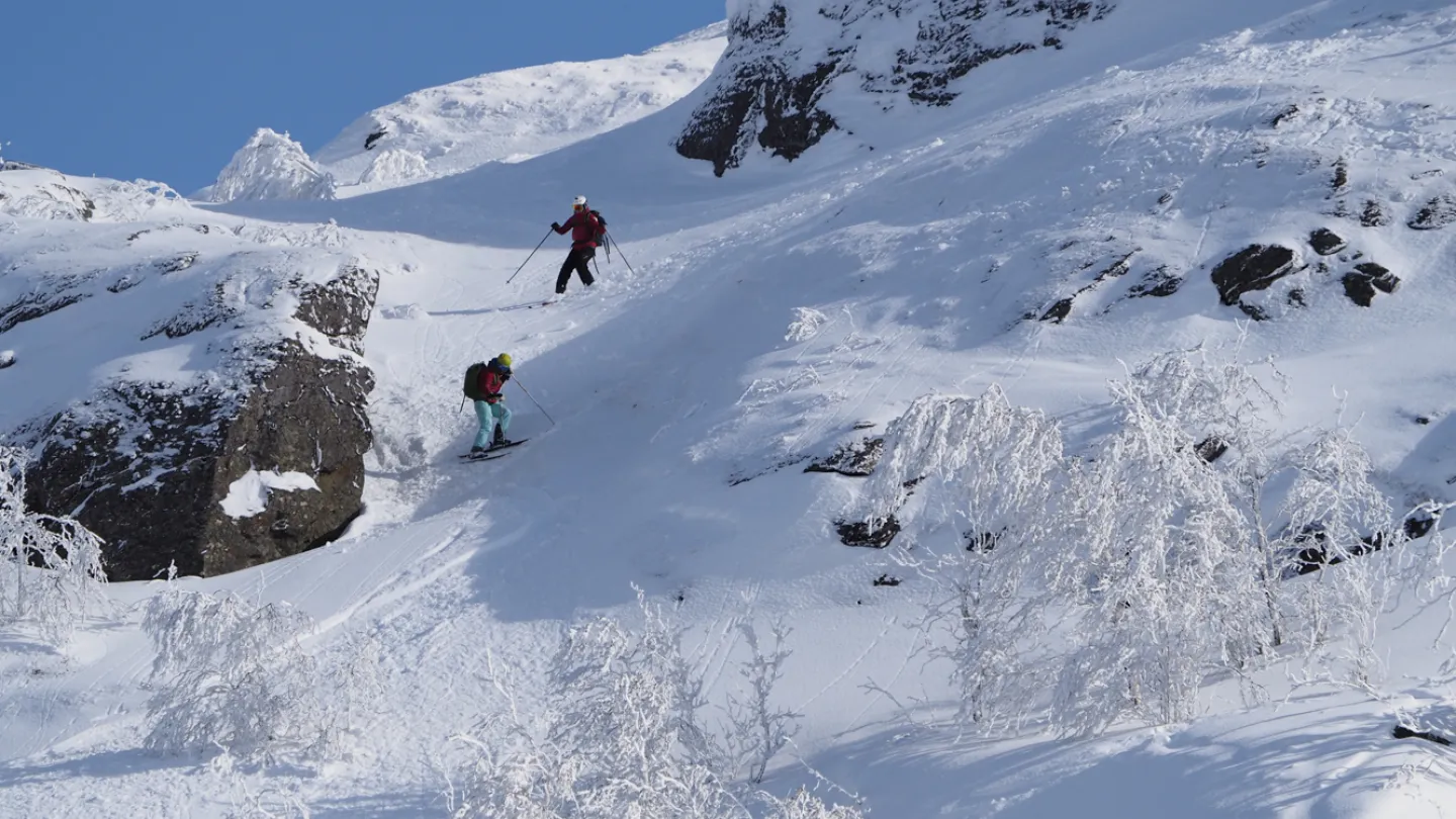 To skiløpere kjører ned en bratt, snødekt fjellside med steiner og rimdekte busker under klar himmel.