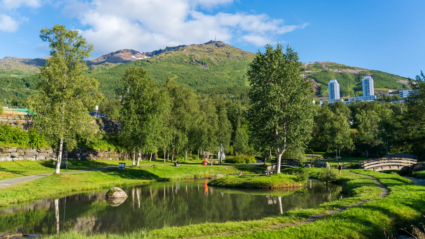Den frodige parken i Elvedalen i Narvik med dam og trær, sti og bro, med fjell og noen høye bygninger under blå himmel med skyer.