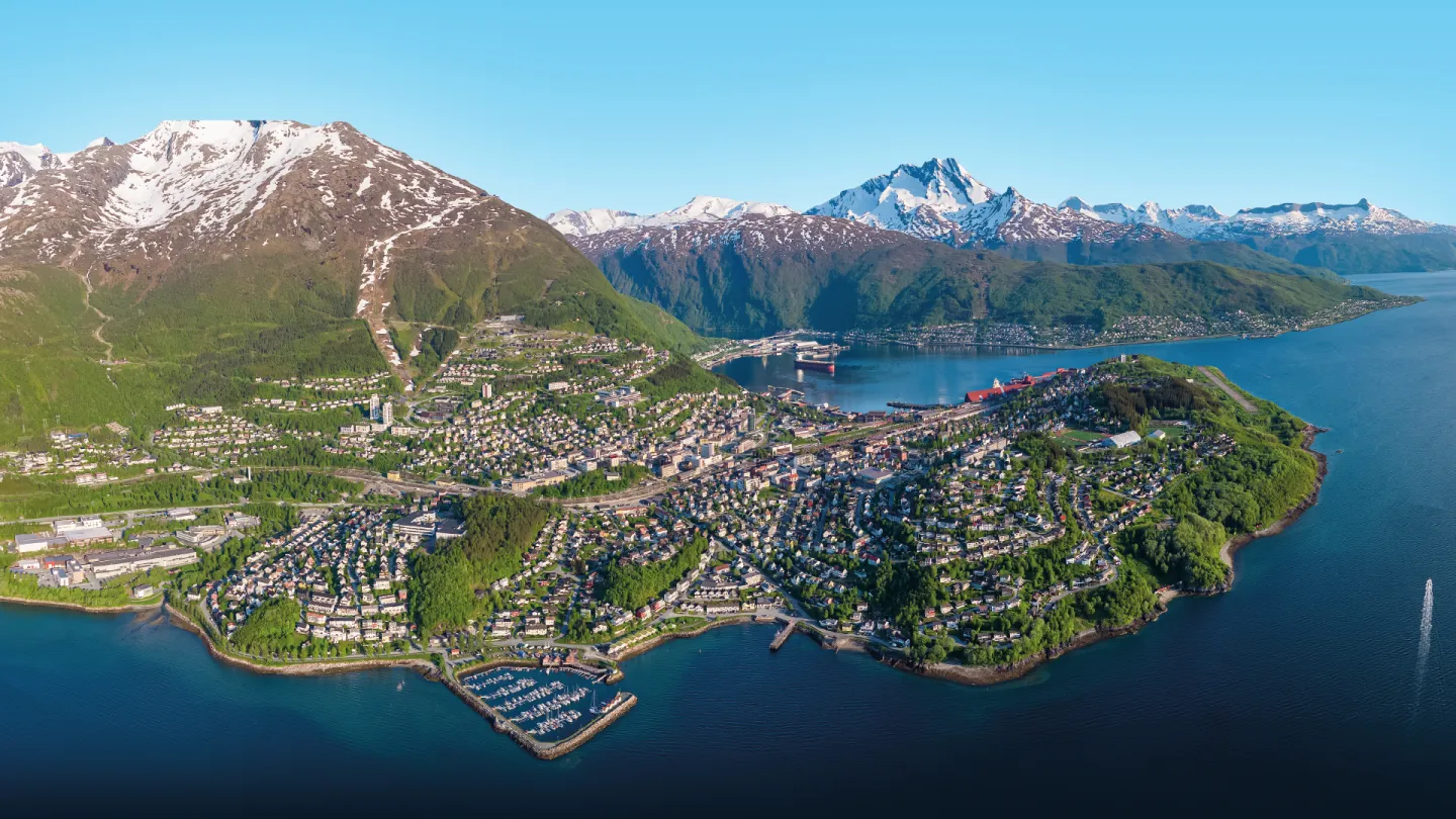 Oversiktsbilde av en Narvik ved fjord, med havn og boligområder, omgitt av grønne åser og snødekte fjell.