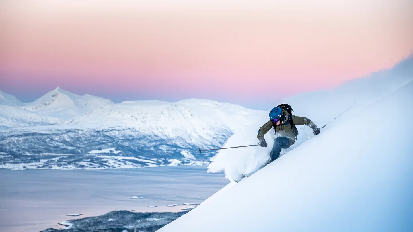 Skikjører med hjelm og staver svinger i bratt puddersnø i Narvikfjellet, med fjord og snødekte fjell under rosa himmel.
