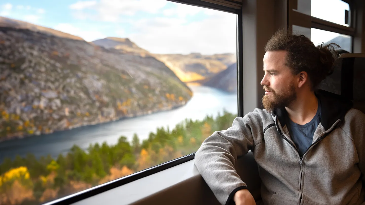 Person sitter ombord Arctic Train og ser ut mot Rombaksfjorden mellom fjell, med skog og høstfarger i forgrunnen.