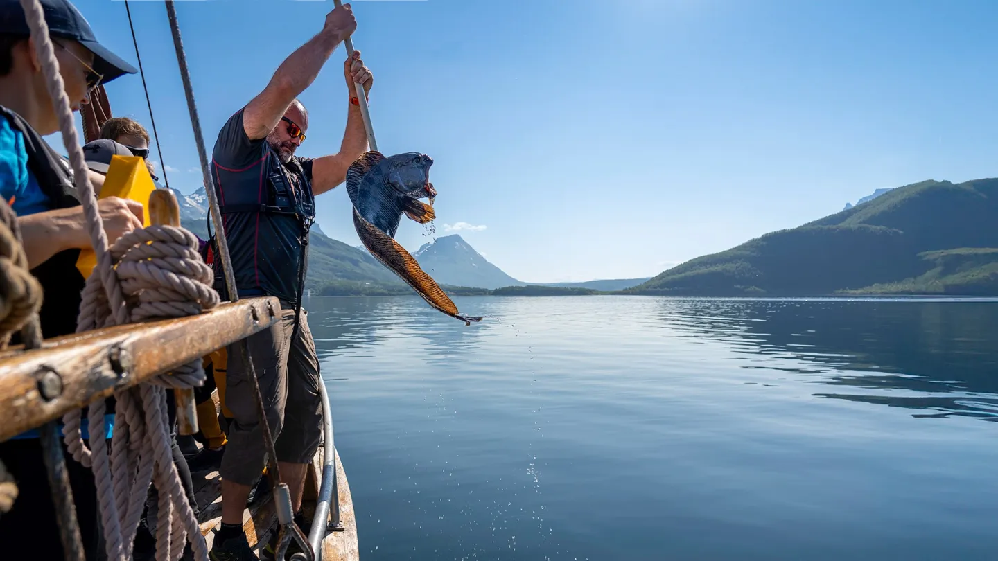En mann på en båt løfter en stor fisk med en krok over stille fjordvann, med fjell og blå himmel.