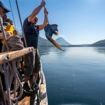 En mann på en båt løfter en stor fisk med en krok over stille fjordvann, med fjell og blå himmel.