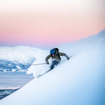 Skikjører med hjelm og staver svinger i bratt puddersnø i Narvikfjellet, med fjord og snødekte fjell under rosa himmel.