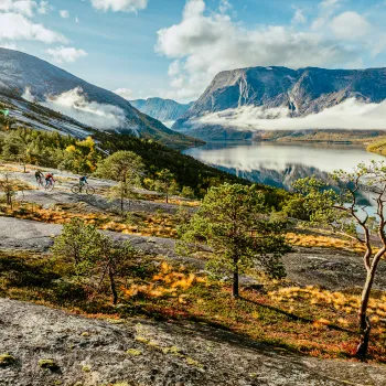Tre syklister på sti over fjellhei med spredte furutrær, med fjord og høye fjell under skyer i bakgrunnen.