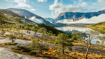 Tre syklister på sti over fjellhei med spredte furutrær, med fjord og høye fjell under skyer i bakgrunnen.