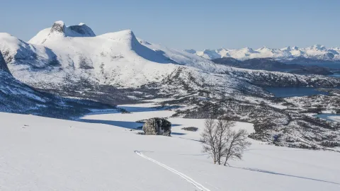Vidt vinterlandskap med snødekte fjell, frosne vann, en enslig bjørk og spor i urørt snø under klar himmel.