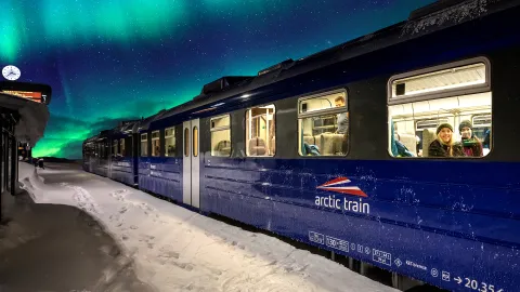artic train