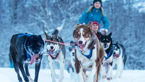 Norway home of skiing